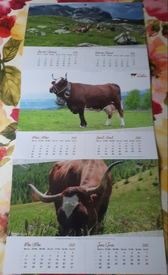 Kalender